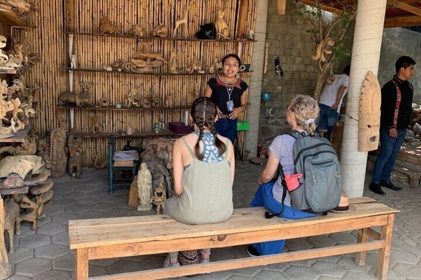 Half-Day Alebrijes Carving and Painting Workshop in San Martin from Oaxaca