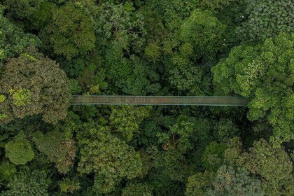 Selvatura Park Eco Adventure Tour of Monteverde