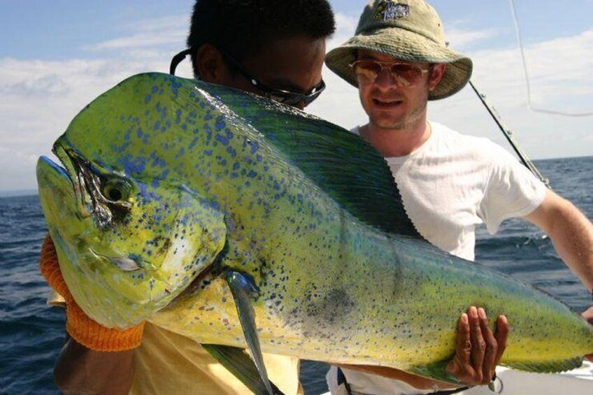 Fort Lauderdale Deep Sea Fishing Charters