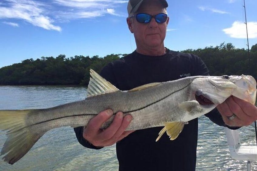 Marco Island Inshore Fishing Trip