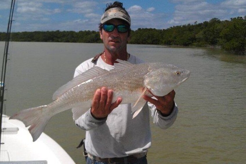 Everglades Inshore Fishing Trip in Flamingo