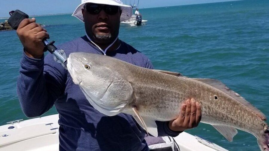 St Petersburg Inshore FishingTrip