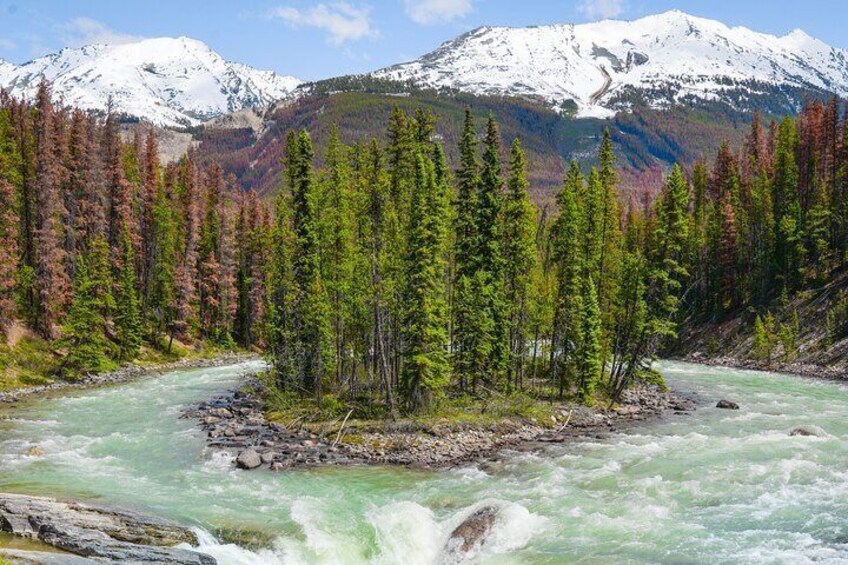 Jasper to Lake Louise One-Way Tour