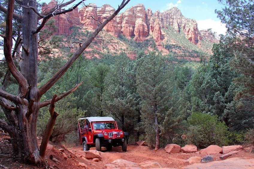 Private Canyons and Cowboys Jeep Tour from Sedona