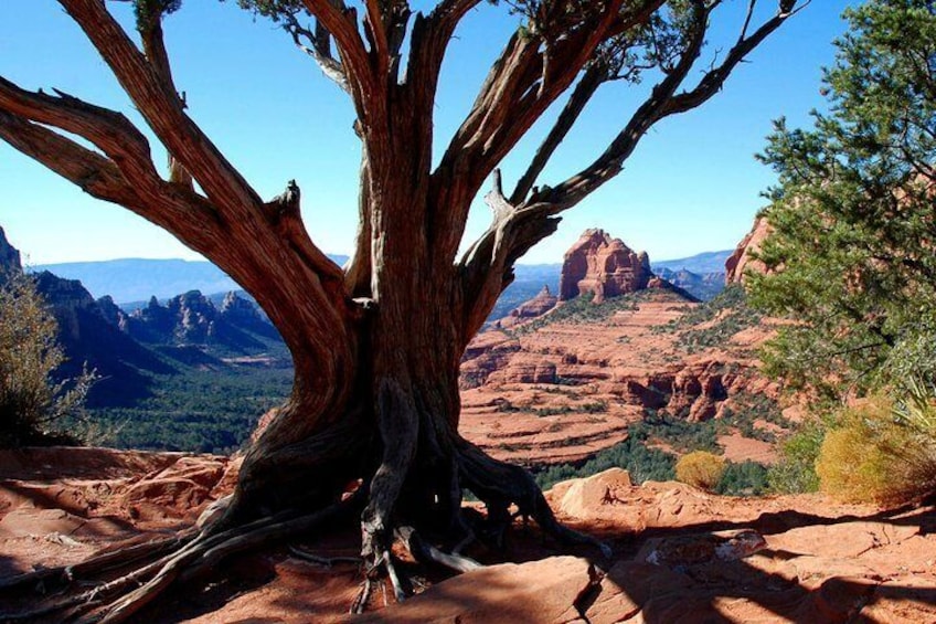 Old Bear Wallow Tour from Sedona