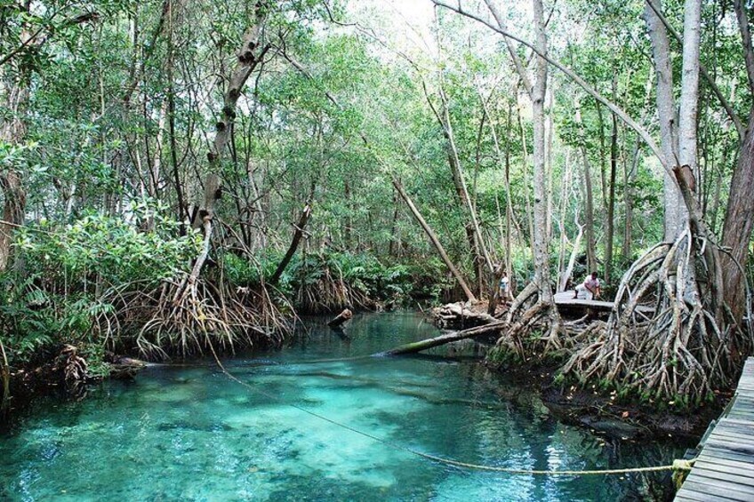 Private Tour: Celestun Biosphere Reserve by Yucatan Concierge