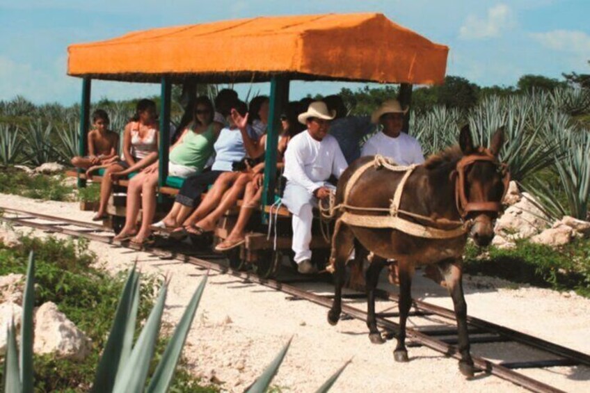 Private Tour: Uxmal & Hacienda Sotuta de Peon by Yucatan Concierge