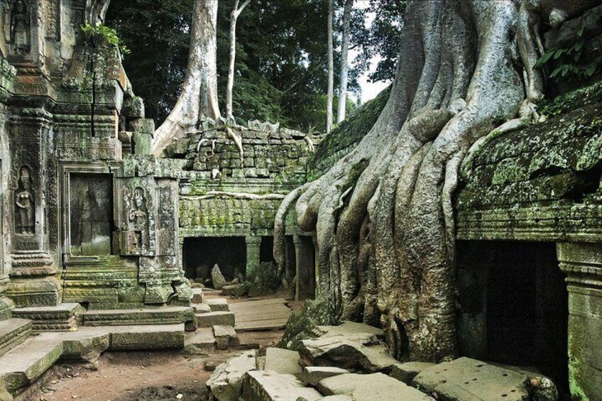 Full-day Small-Group Angkor Wat Tour from Siem Reap with English Speaking Guide