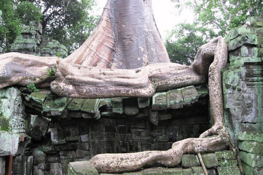 Full-day Small-Group Angkor Wat Tour from Siem Reap with English Speaking Guide