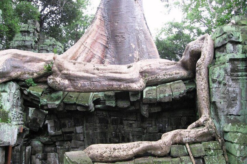 Full-day Small-Group Angkor Wat Tour from Siem Reap with English Speaking Guide