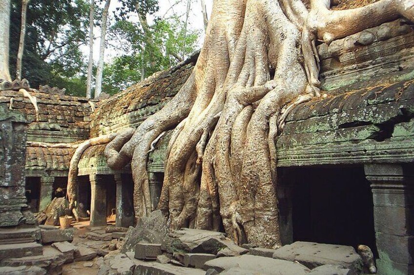 Full-day Small-Group Angkor Wat Tour from Siem Reap with English Speaking Guide