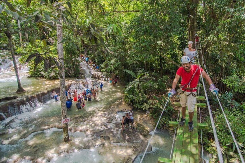 Chukka Zipline over Dunn's River Falls