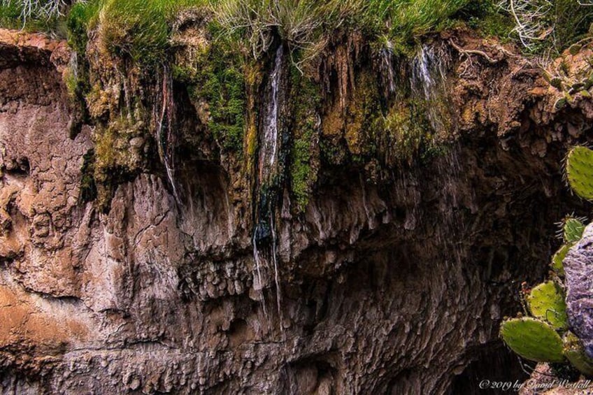 Payson Area Desert Creeks and Lush Environs Photography Tour