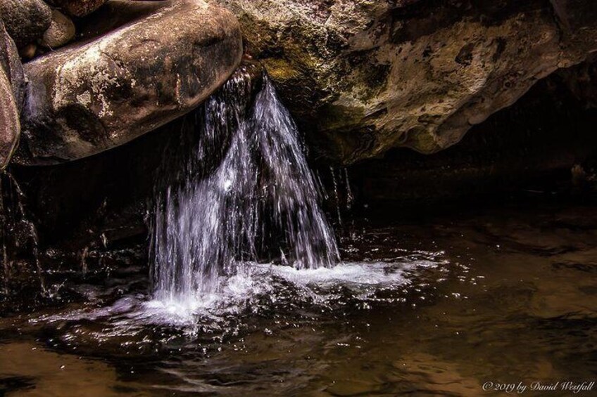 Payson Area Desert Creeks and Lush Environs Photography Tour