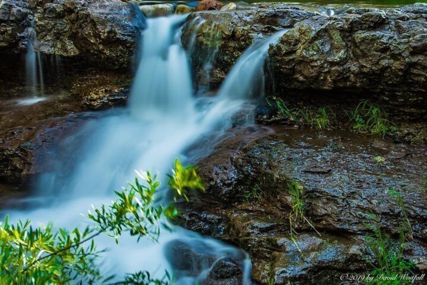Payson Area Desert Creeks and Lush Environs Photography Tour