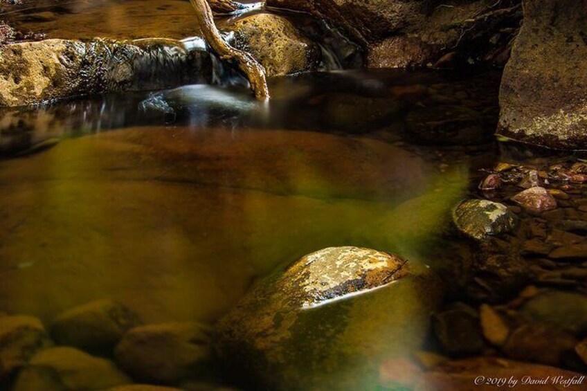 Payson Area Desert Creeks and Lush Environs Photography Tour