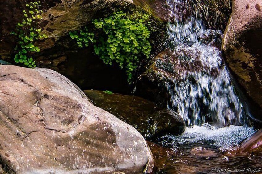 Payson Area Desert Creeks and Lush Environs Photography Tour