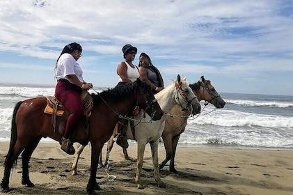 ☝Eco Tour - Lagoon Boat Ride - Gentle Beach Beach Horseback Ride + Lunch & ...