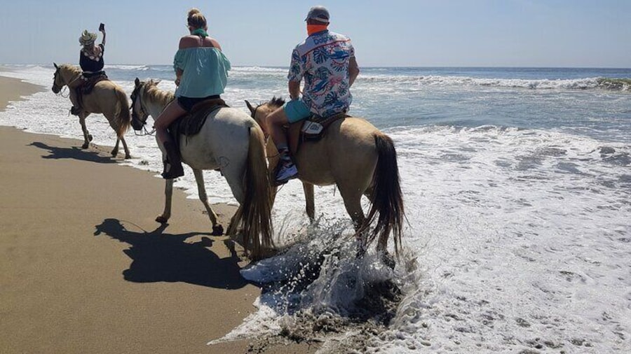 ☝Eco Tour - Lagoon Boat Ride - Gentle Beach Beach Horseback Ride + Lunch & Crocs