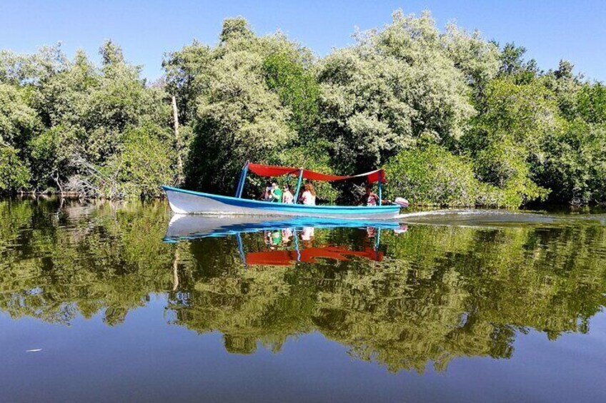 ☝Eco Tour - Lagoon Boat Ride - Gentle Beach Beach Horseback Ride + Lunch & Crocs