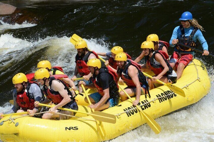 Rouge River White Water Rafting - Full day