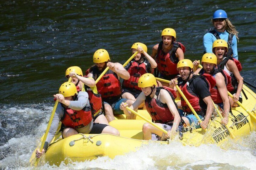 Rouge River White Water Rafting - Full day