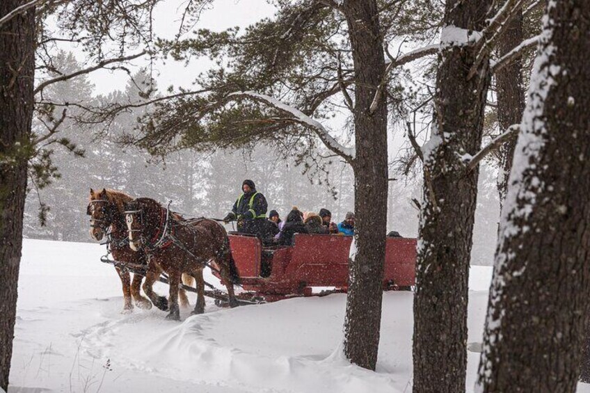 Tremblant Sleighride