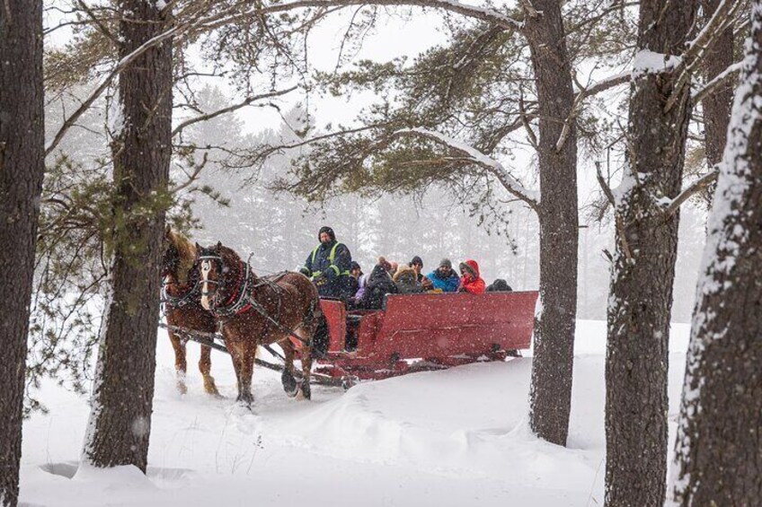 Tremblant Sleighride