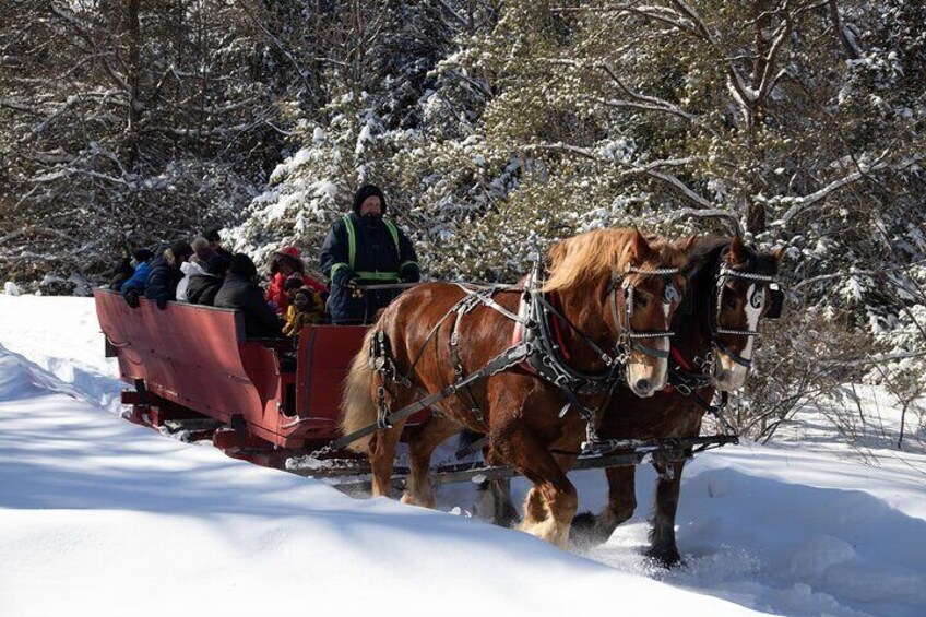 Tremblant Sleighride