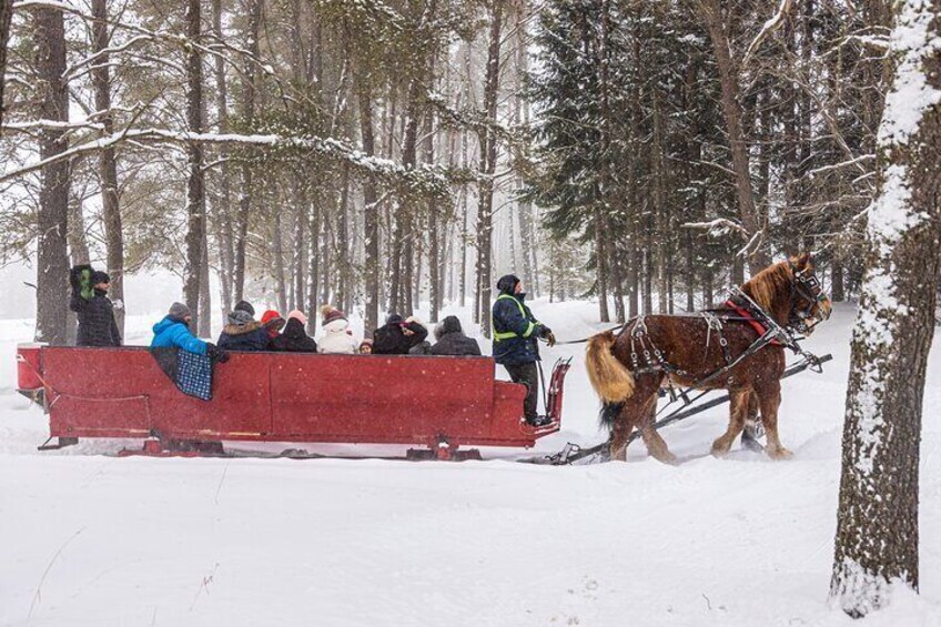 Tremblant Sleighride