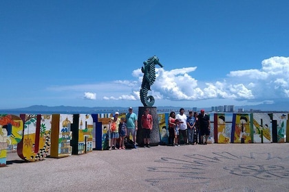 Recorrido privado educativo y divertido por la ciudad: Puerto Vallarta