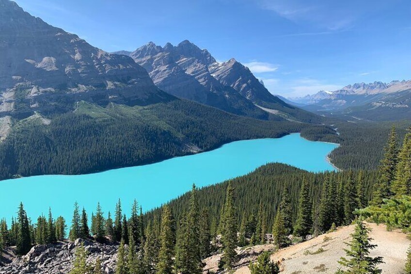 Lake Louise and the Icefields Parkway - Full-Day Tour