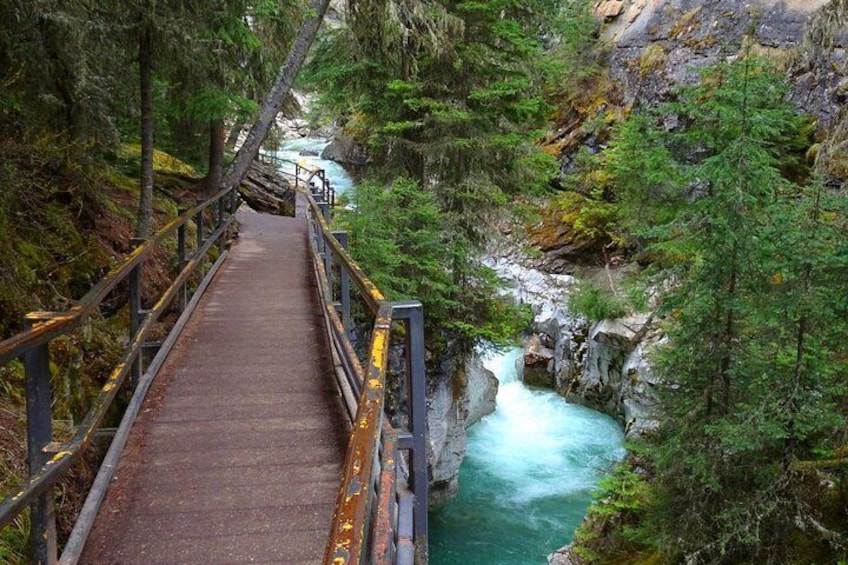 Johnston Canyon Trail