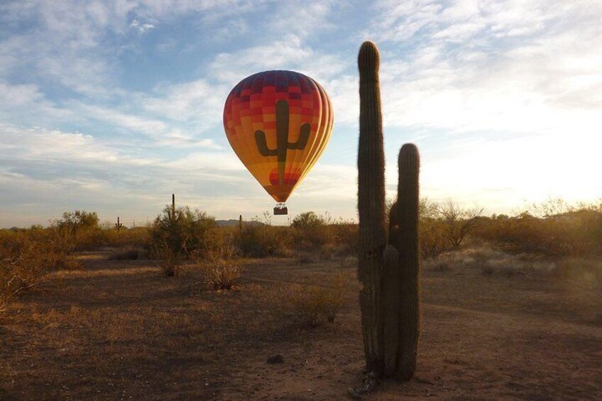 Morning Hot Air Balloon Flight Over Phoenix 