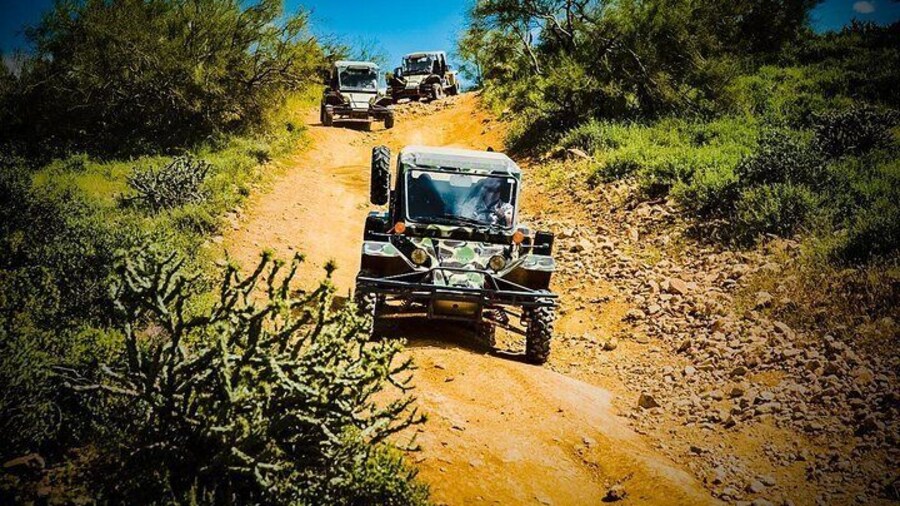 3 Hour Guided TomCar ATV Experience in Sonoran Desert