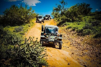 3 Hour Guided TomCar ATV Experience in Sonoran Desert