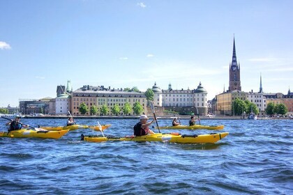 Recorrido en kayak por el centro de la ciudad de Estocolmo