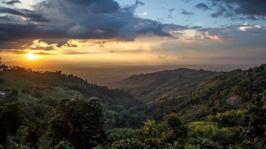 Quindío's Magical Towns experience from Salento