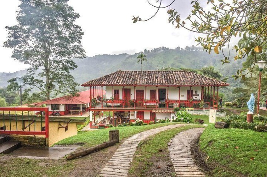 Full-Day Coffee Farm Experience at Finca El Ocaso from Salento