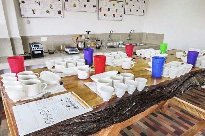 Full-Day Coffee Farm Experience at Finca El Ocaso from Salento