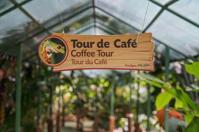 Coffee Tour