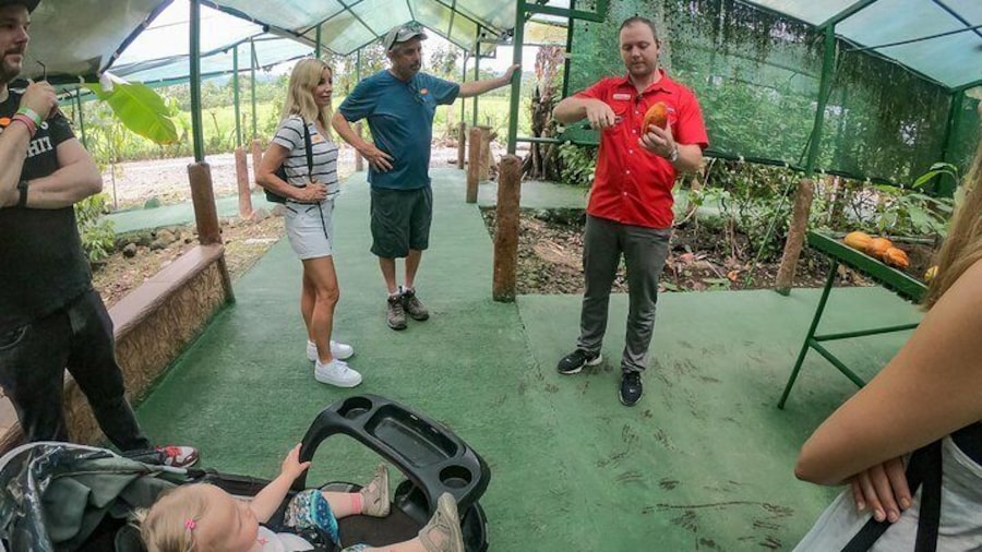 Coffee and Chocolate Regular Tour