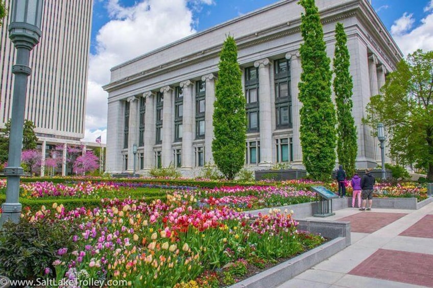 Salt Lake City Guided Bus Tour