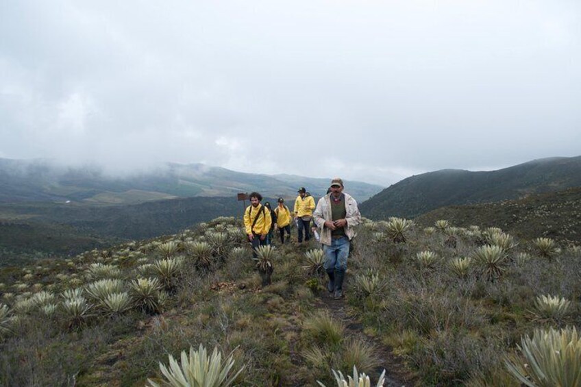 Our Sumapaz local guide leading the group!