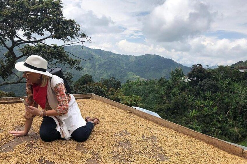 Jardin Day Trip: Colombian Coffee Tour from Medellin