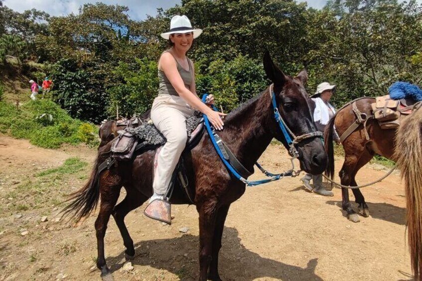 Horseback Riding Adventure from Medellin