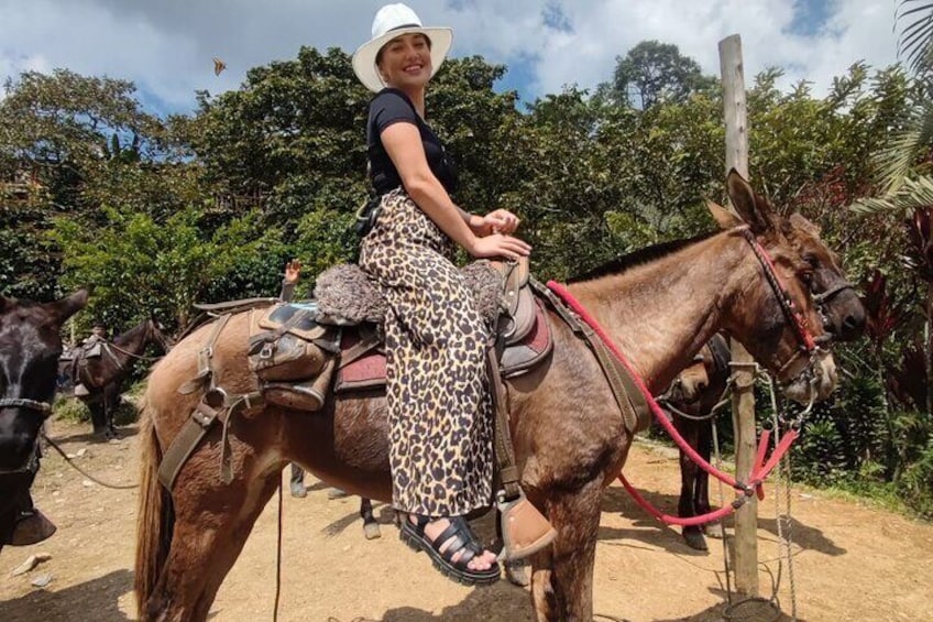 Horseback Riding Adventure from Medellin