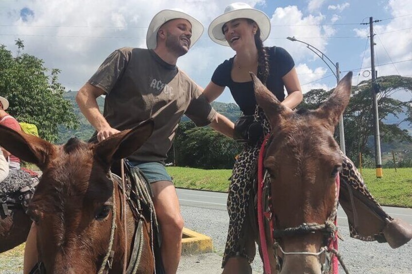 Horseback Riding Adventure from Medellin