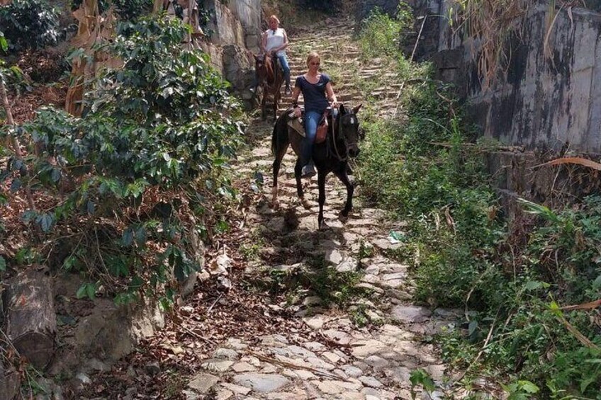 Horseback Riding Adventure from Medellin