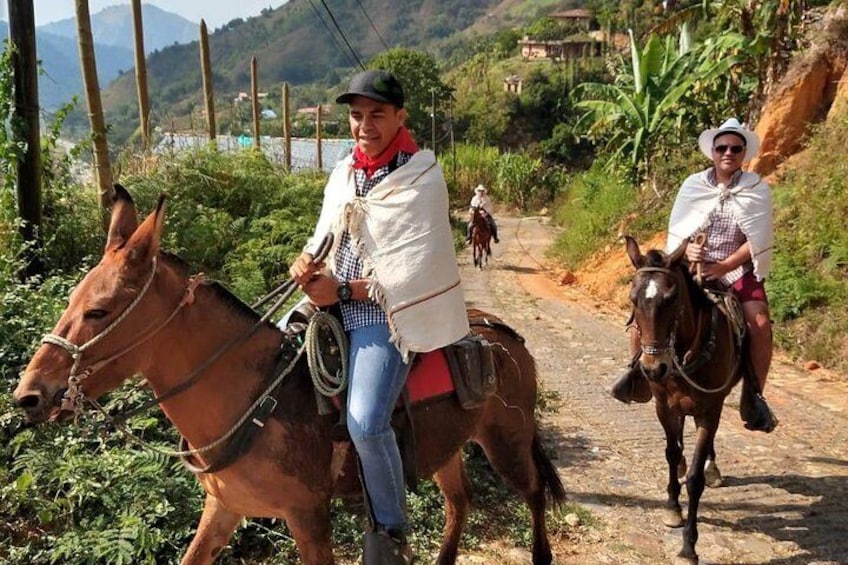 Horseback Riding Adventure from Medellin